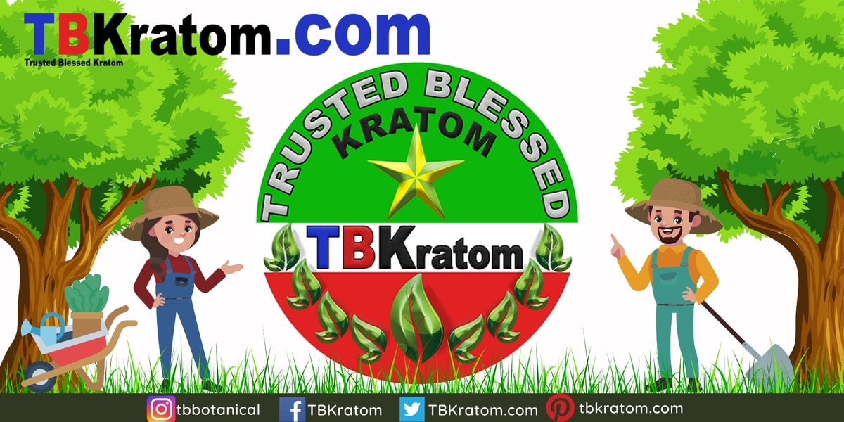 TBKratom "How to Harvest and Process Kratom Leaves to Become Flour Powder" TBKratom "How to Harvest and Process Kratom Leaves to Become Flour Powder"