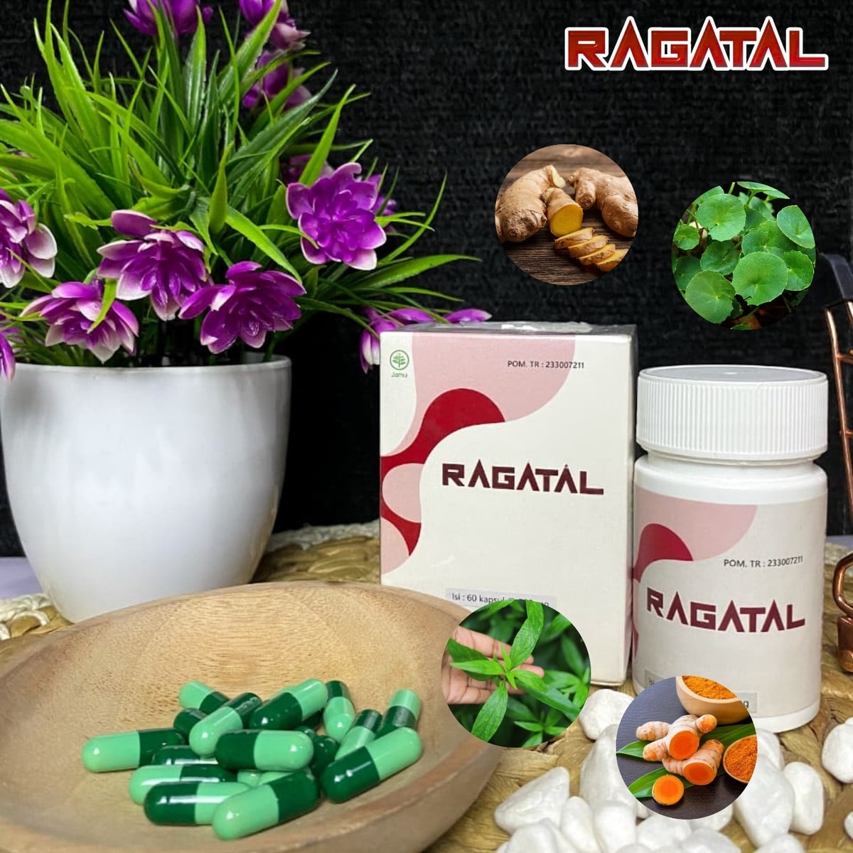 Rahasia Alam dalam Setiap Kapsul Ragatal : Menjelajahi Komposisi Ekstrak Herbal (Temulawak, Kunyit, Sambiloto dan Peganggang) Rahasia Alam dalam Setiap Kapsul Ragatal : Menjelajahi Komposisi Ekstrak Herbal (Temulawak, Kunyit, Sambiloto dan Peganggang)