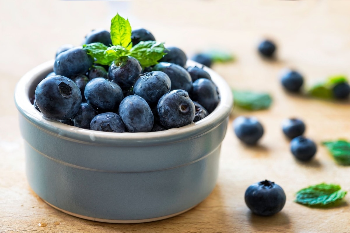 Buah Bilberry, Kenali Kandungan dan 5 Manfaat Sehatnya Buah Bilberry, Kenali Kandungan dan 5 Manfaat Sehatnya