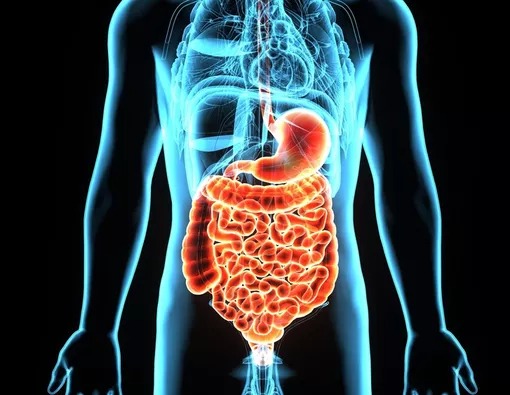 Upgrade Pencernaan Sebelum Liburan dengan BurnX Fiber Upgrade Pencernaan Sebelum Liburan dengan BurnX Fiber