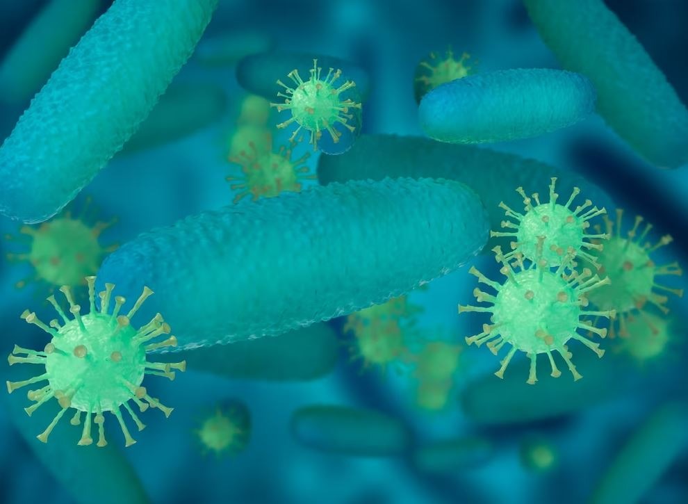 Mengenal Lebih Dekat dengan Virus Nipah: Kenali Penyebab, Gejala, dan Pencegahannya