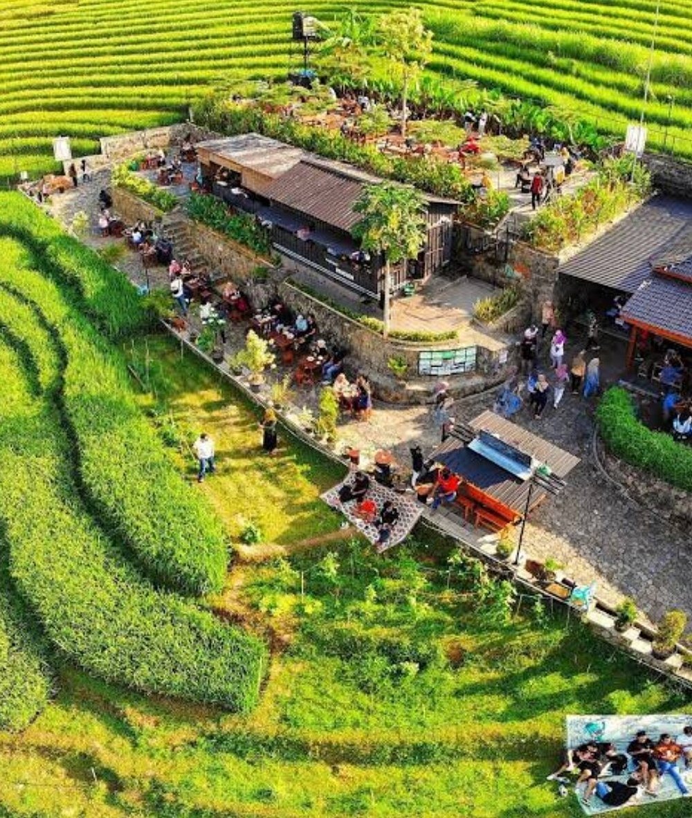 Rekomendasi Wisata Kuliner View Sawah