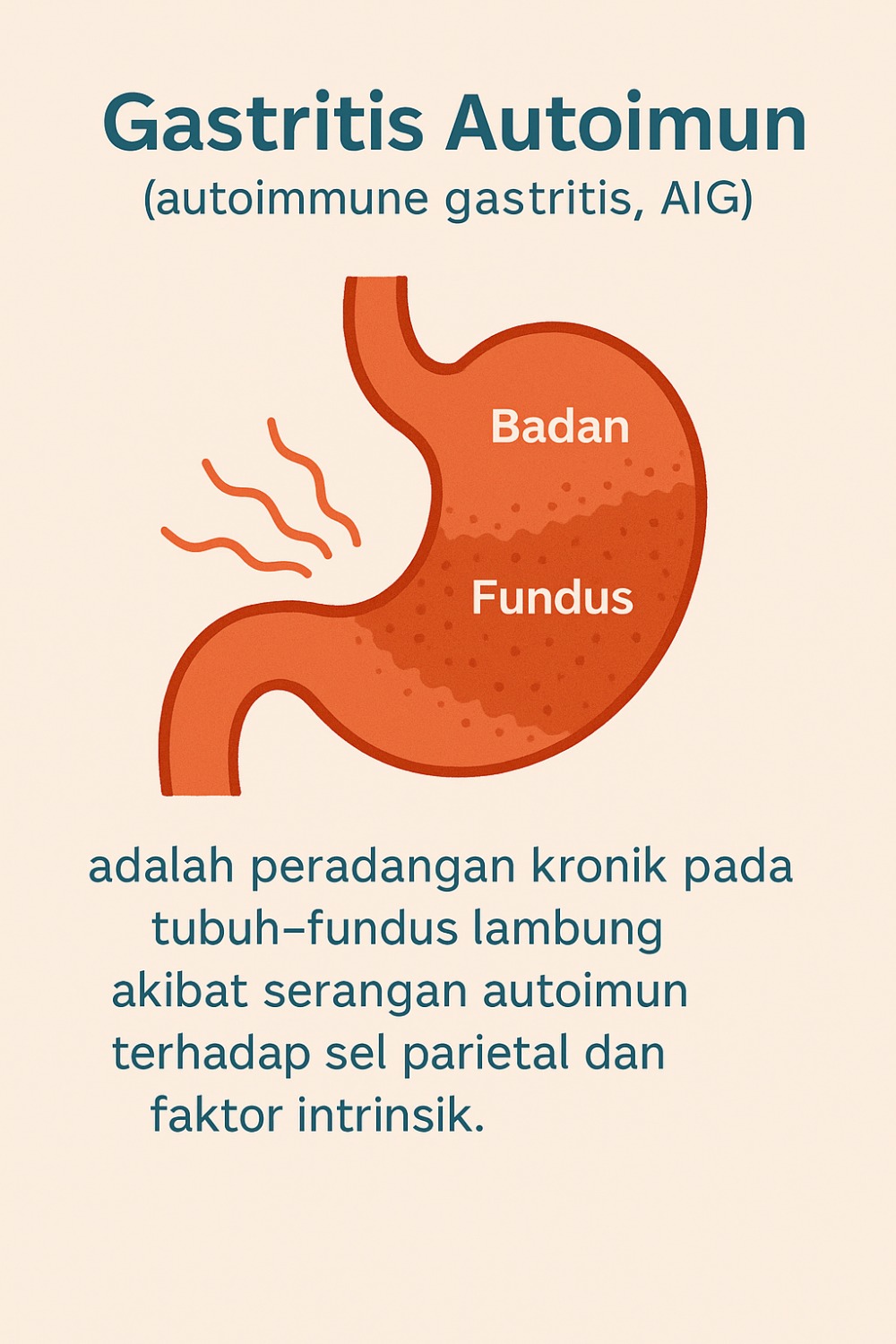 Gastritis Autoimun: penyebab, gejala, diagnosis, tata laksana, dan FAQ