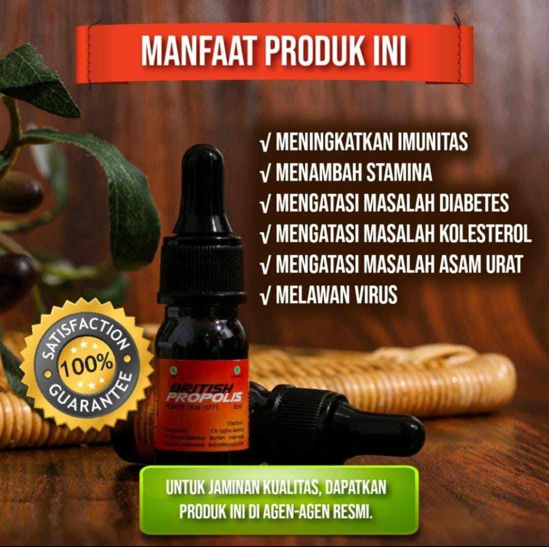 British Propolis Adalah Herbal Turunan Lebah