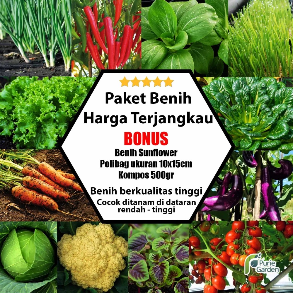 Paket Bibit / Benih 25 Jenis Sayur Dan Buah Lengkap