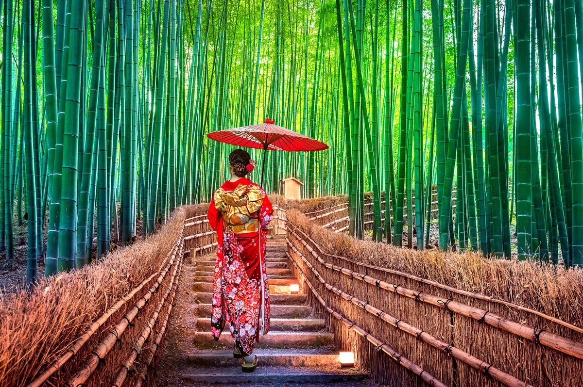 arashiyama bamboo forrest