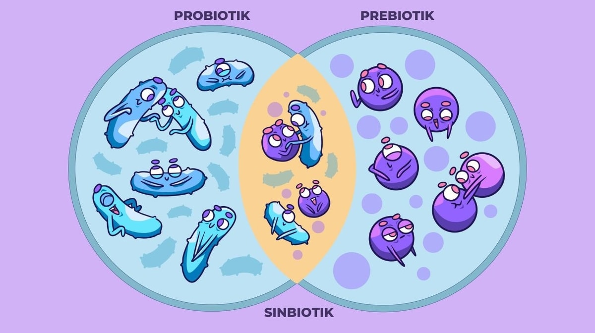 Probiotik dan Prebiotik: Kunci Menjaga Kesehatan Usus di Masa Kini