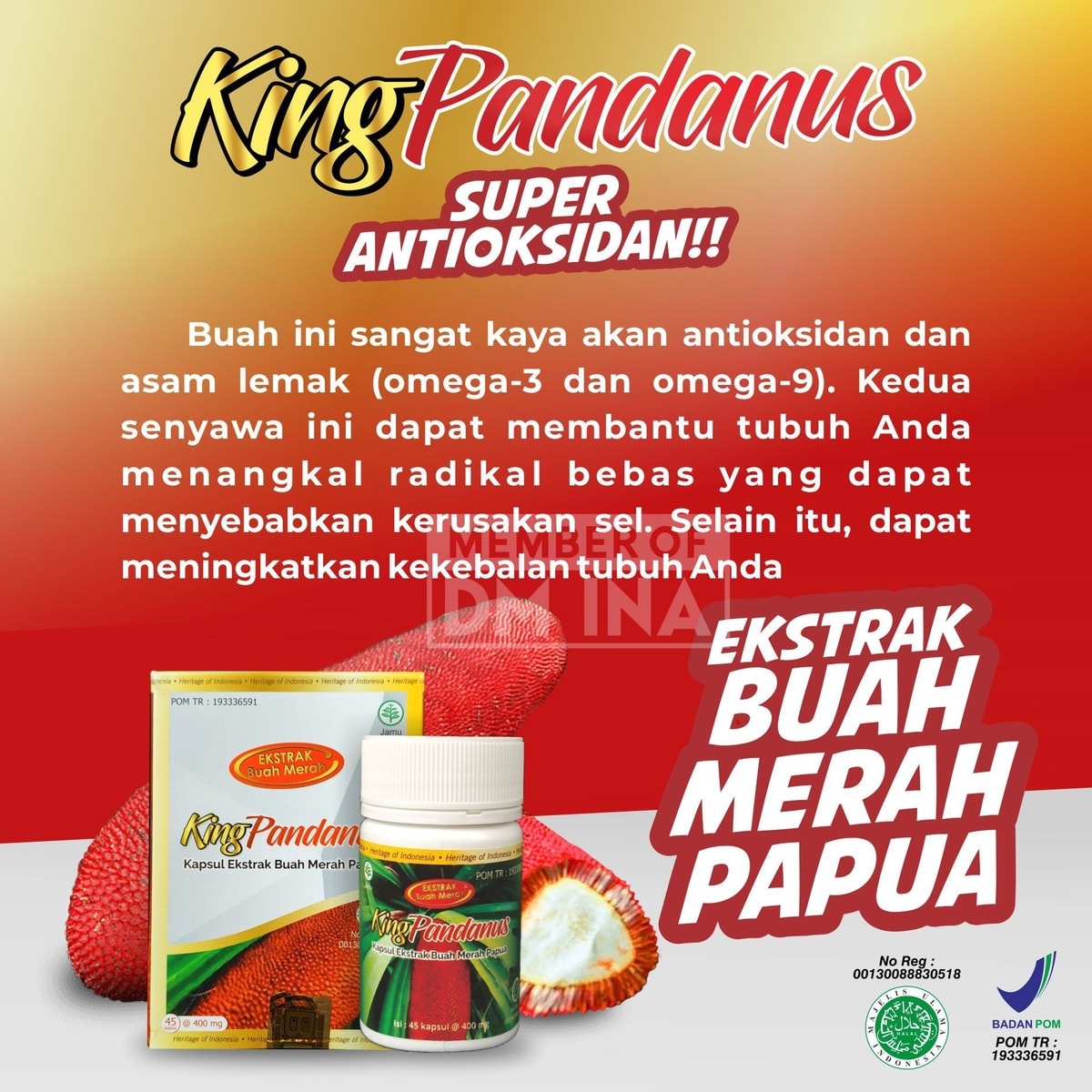 King Pandanus, super antioksidan