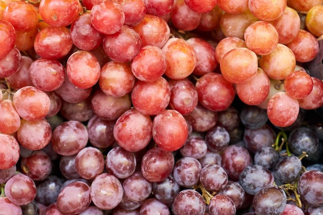 Manis Namun Sehat: Bagaimana Rutin Mengonsumsi Anggur Setiap Hari Dapat Mengontrol Kadar Gula Darah?