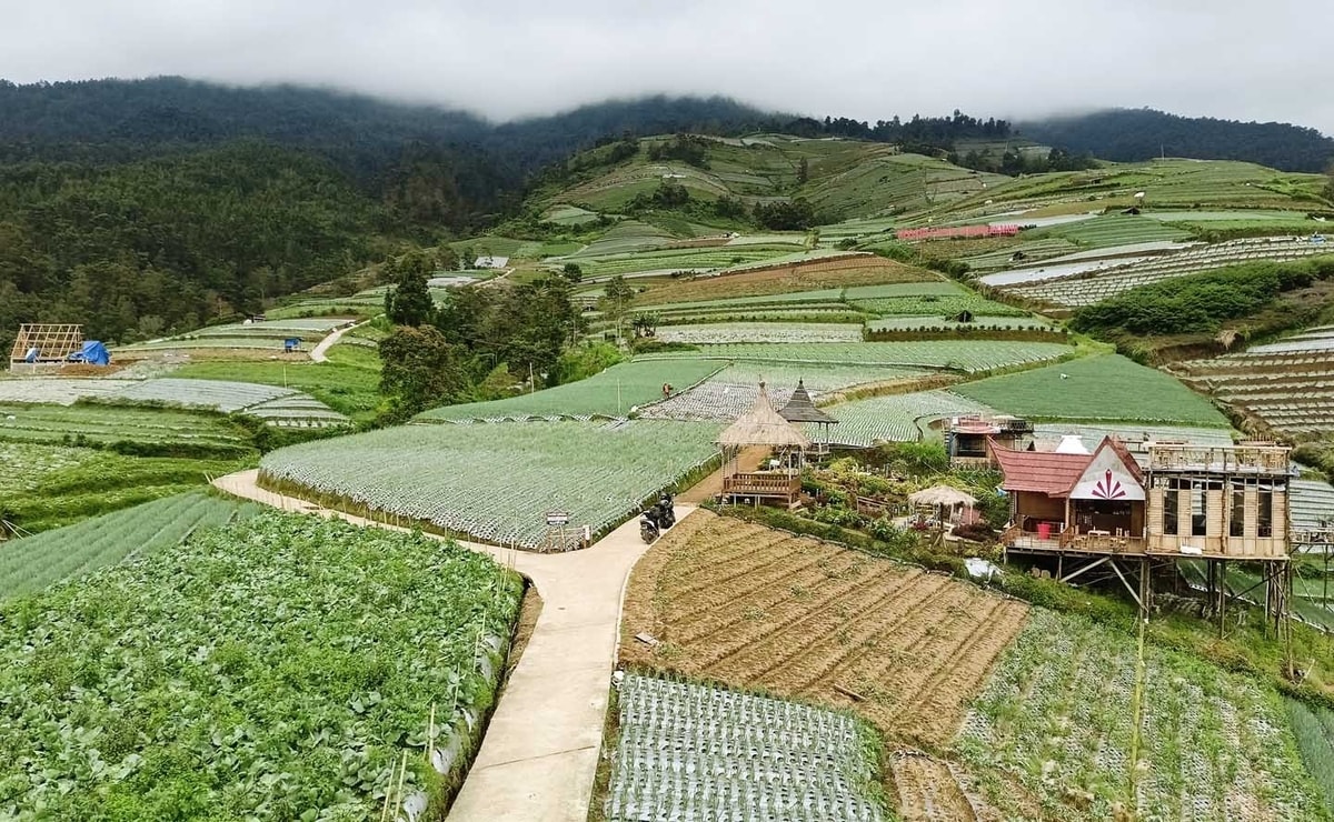 Nampan Sukomakmur