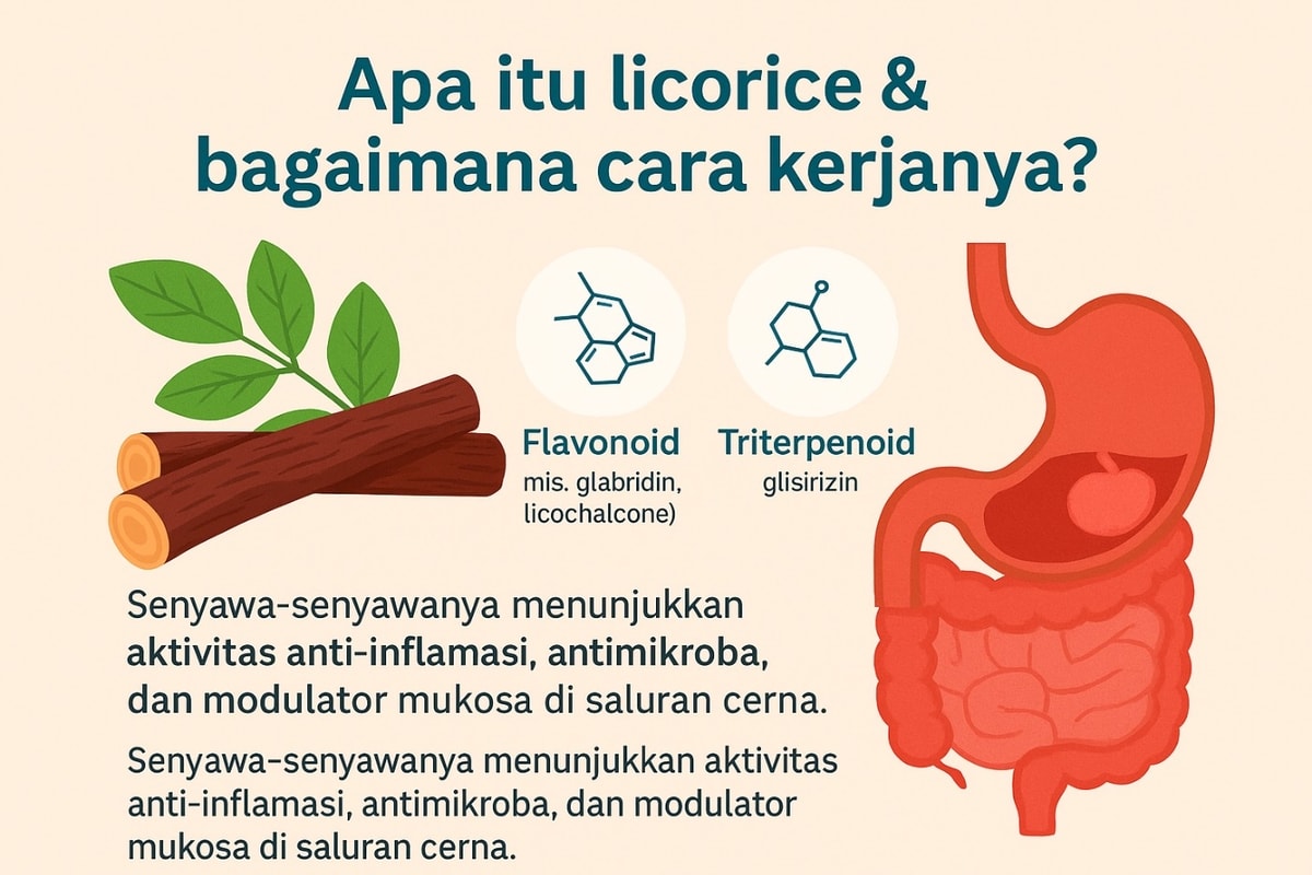 Licorice (Glycyrrhiza) untuk Kesehatan Pencernaan: apa itu, bukti medis, cara pakai yang bijak, dan FAQ