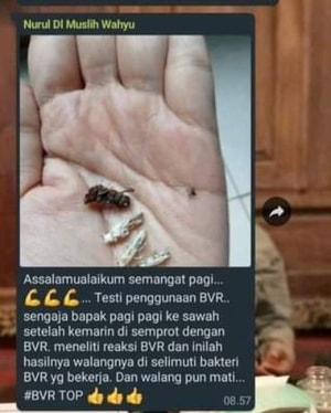 -