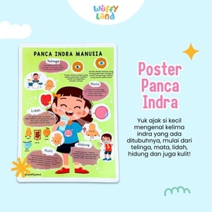 Mainan Anak Wuffyland Poster Edukasi Mengenal Panca Indra Manusia