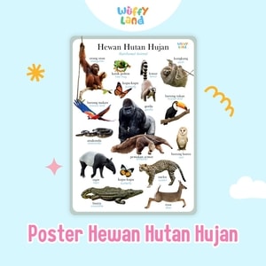 Wuffyland Mainan Edukasi Anak Indonesia Murah Poster Montessori Aneka Tema