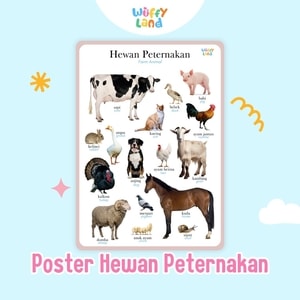 Wuffyland Mainan Edukasi Anak Indonesia Murah Poster Montessori Aneka Tema