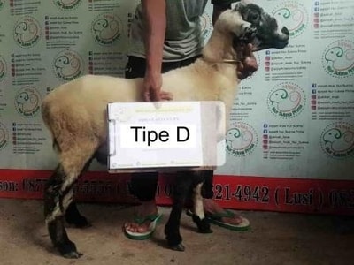 -