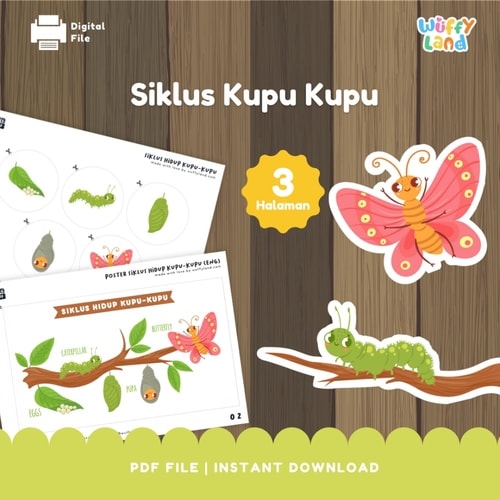 Wuffyland Worksheet Edukasi Anak Indonesia Murah Free Printable Siklus Hidup Kupu Metamorfosis