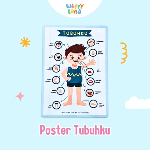 Mainan Anak Wuffyland Poster Edukasi Mengenal Anggota Tubuh