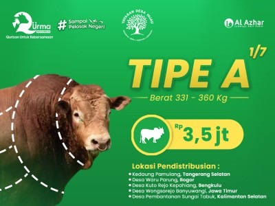 Sapi Sepertujuh Tipe A