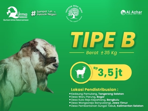 Kambing Tipe B