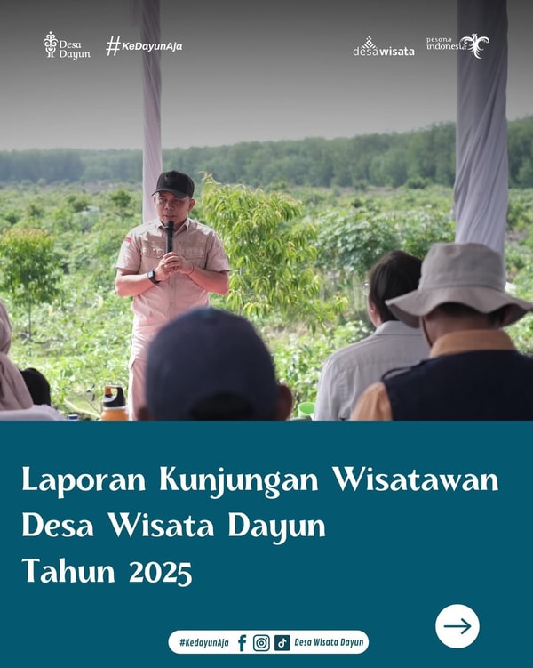Laporan Kunjungan Wisatawan Desa Wisata Dayun Tahun 2025