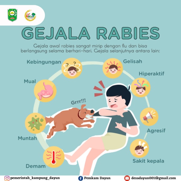 Gelaja Rabies