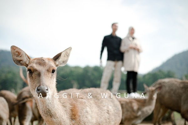 anggit & wiguna // prewedd
