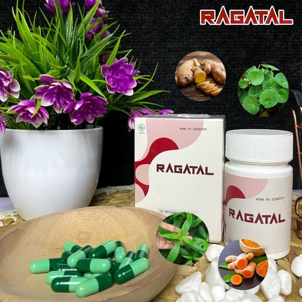 Rahasia Alam dalam Setiap Kapsul Ragatal : Menjelajahi Komposisi Ekstrak Herbal (Temulawak, Kunyit, Sambiloto dan Peganggang)