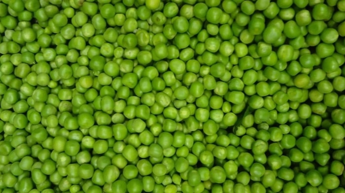 Apa Itu Pea Protein dan Chia Seeds? Dan, Apa Manfaatnya?