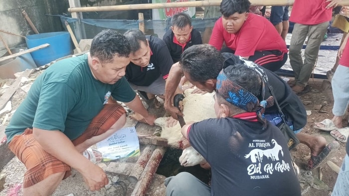 Alhamdulillah, Daging Qurbanmu Sampai ke Tangan yang Tepat