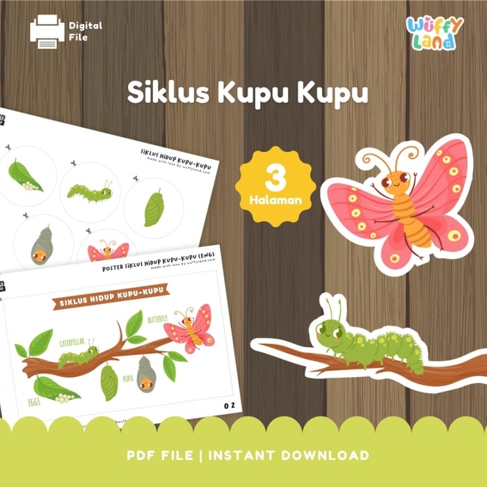 Wuffyland Worksheet Edukasi Anak Indonesia Murah Free Printable Siklus Hidup Kupu Metamorfosis