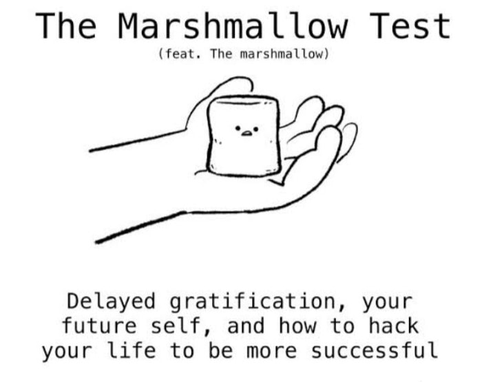 Ciri2 Pebisnis yang akan Sukses, Sudah Tahu ?