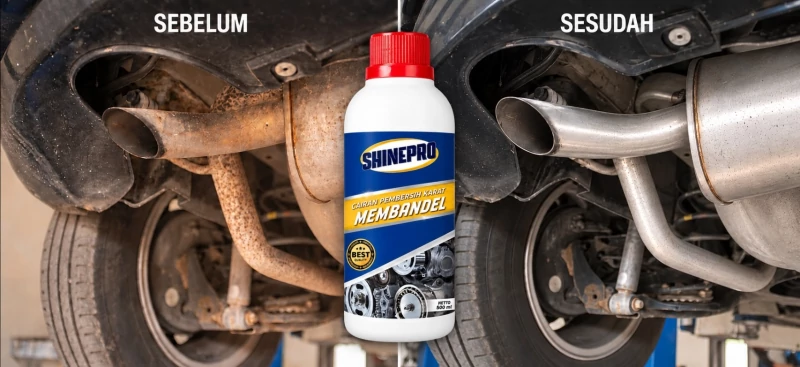 Sebelum dan sesudah memakai SHINEPRO