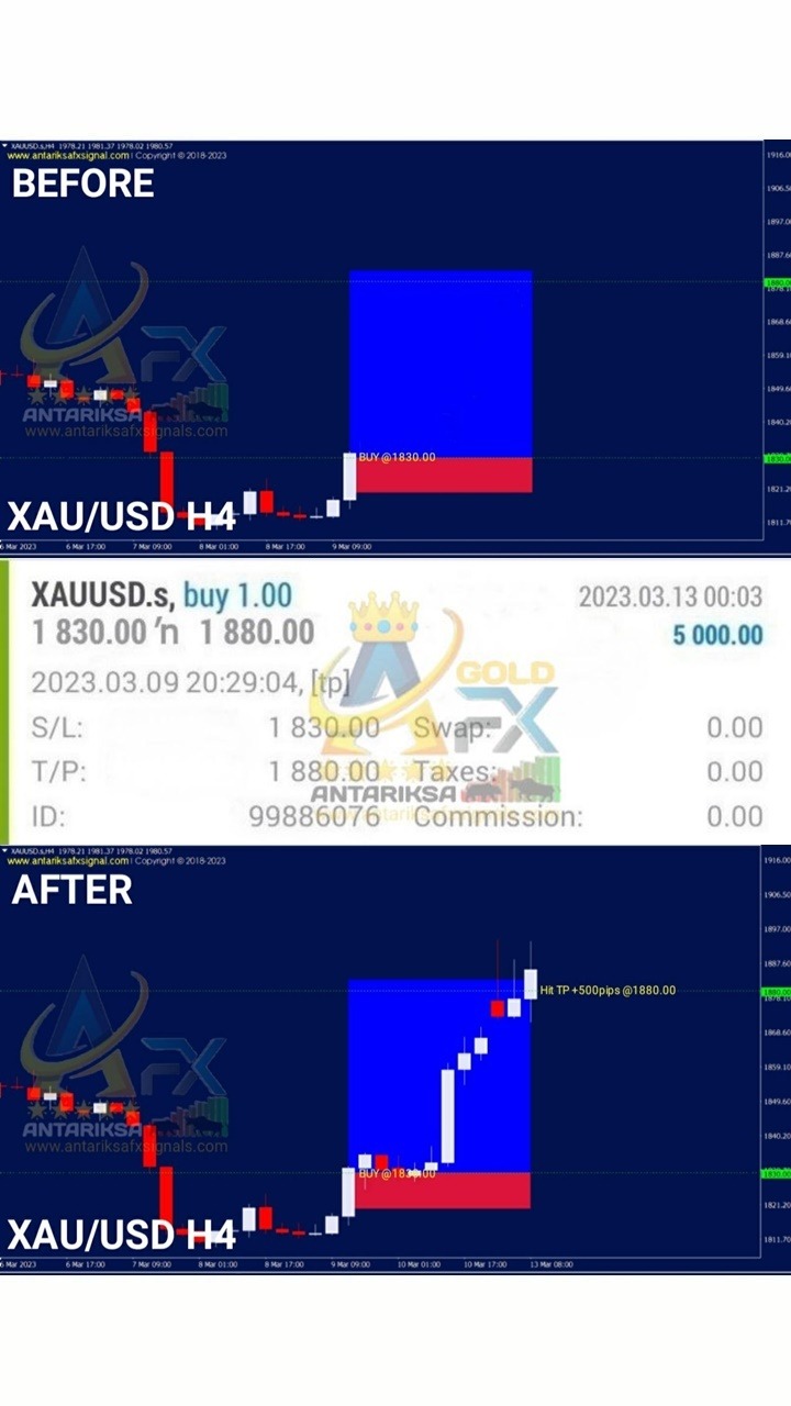 (03-1)