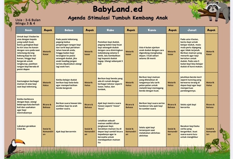 Gratis jadwal stimulasi sensorik & motorik anak usia newbord - toddler