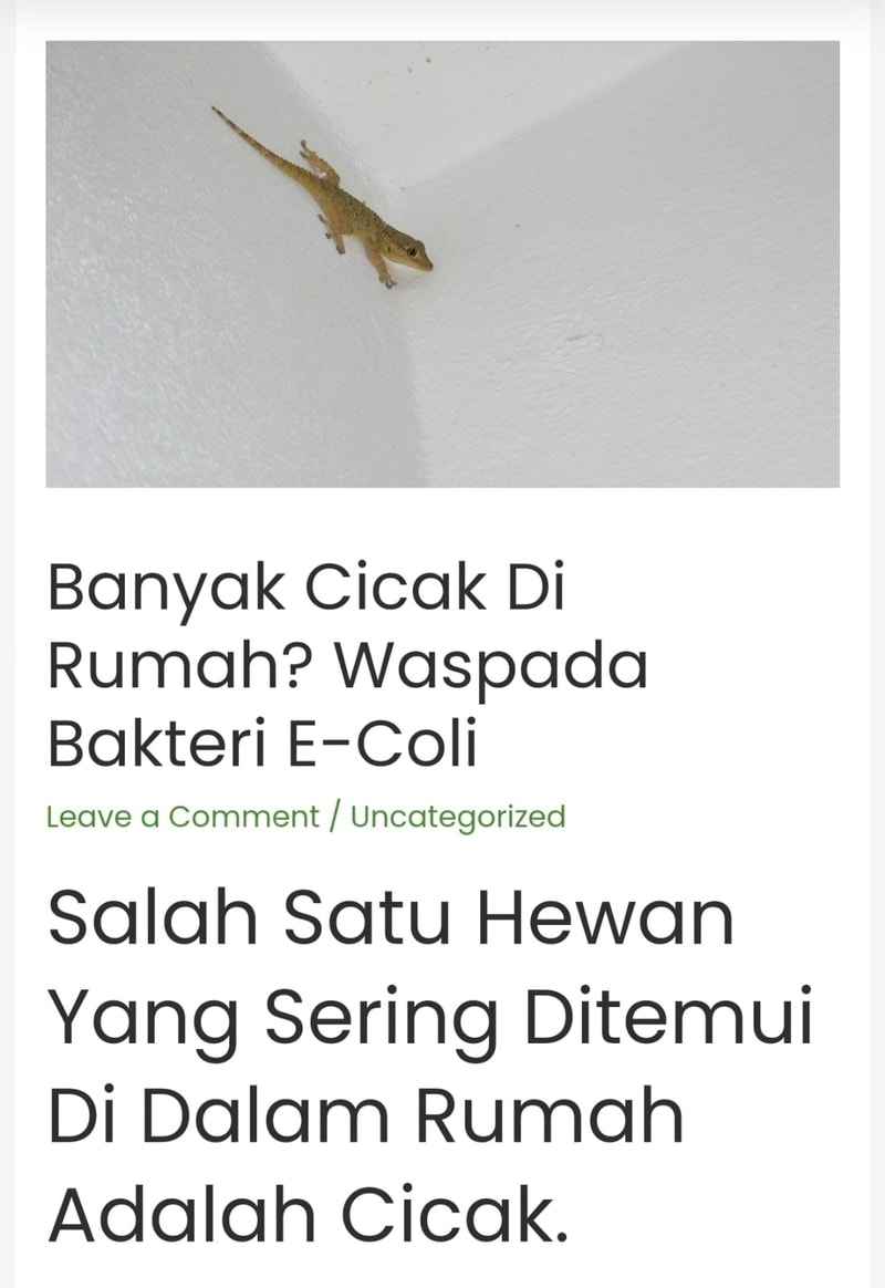 -