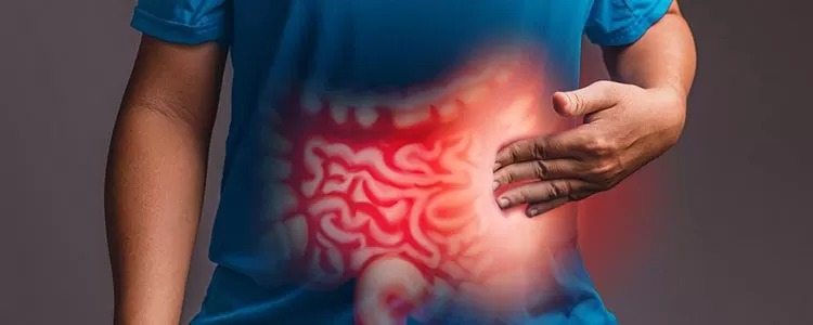 Pola Makan Modern Bikin Pencernaan Kewalahan? BurnX Fiber Bisa Bantu Atasi Secara Alami