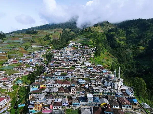 Nepal Van Java