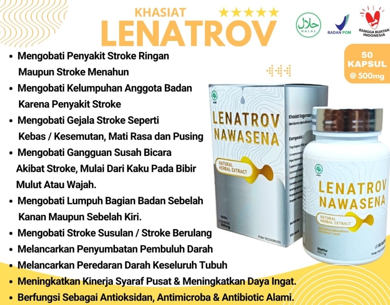 obat stroke alami paling ampuh