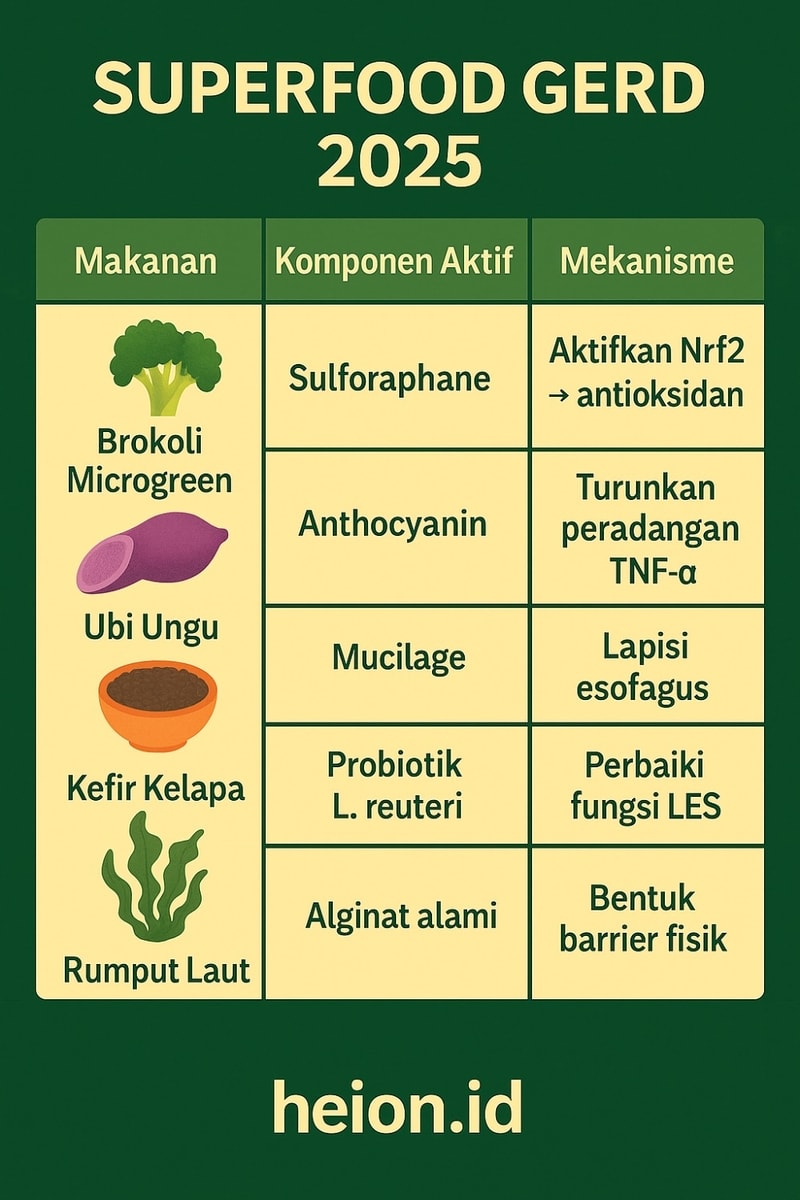 Pencegahan & Kambuhan GERD: Strategi Terkini 2025 untuk Bebas Refluks