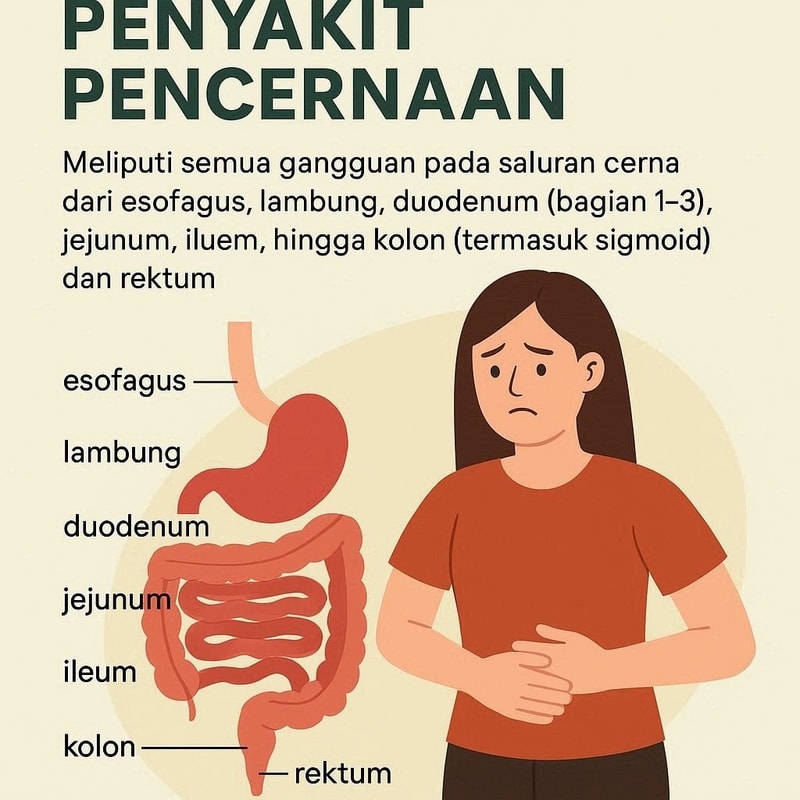 Penyakit Pencernaan: Spektrum Lengkap dari Esofagus hingga Rektum