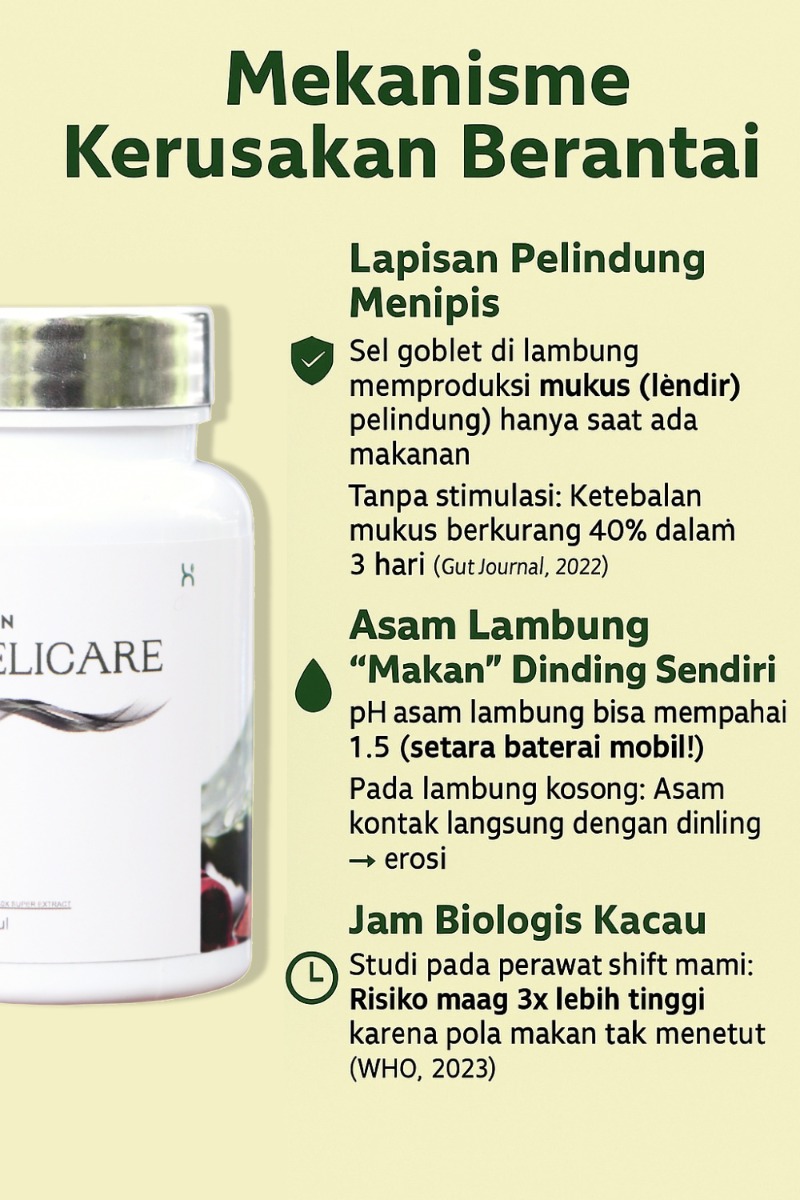 Penyebab Utama Sakit Maag: Pola Makan & Stres yang Sering Diabaikan