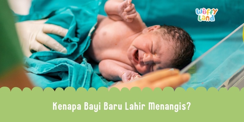 Kenapa Bayi Baru Lahir Menangis?