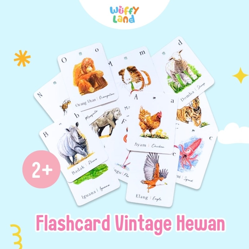 Mainan Anak Flashcard Vintage Hewan