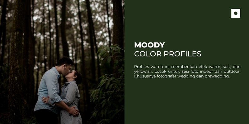 Basic Profile Color Color Profiles